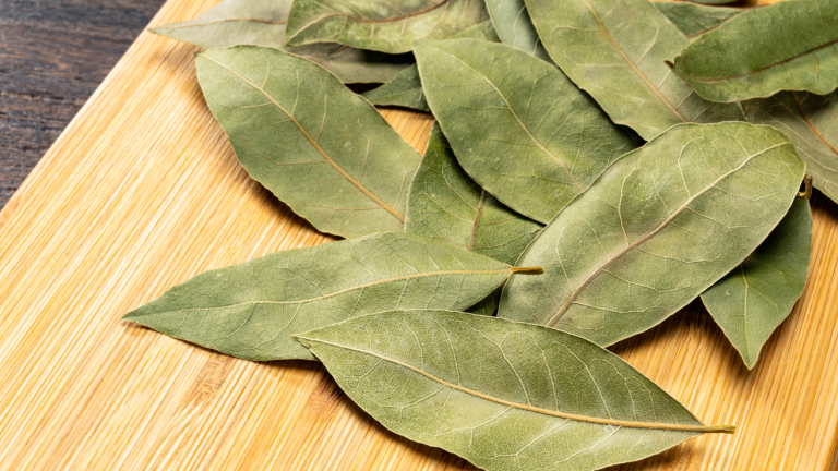 ¿Masticar laurel? El truco ancestral para desinflamar tu abdomen y bajar el azúcar