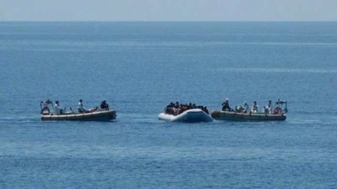 descarga - 2026-01-04T110718.877