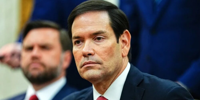 descarga - 2026-01-04T122644.747