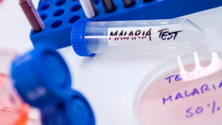 La mayoría de los casos de malaria en el país son autóctonos y suman 874 casos, según Epidemiología