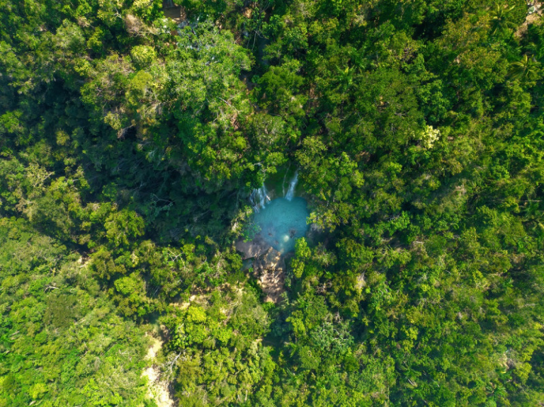 Áreas protegidas: el valor de las zonas de amortiguamiento