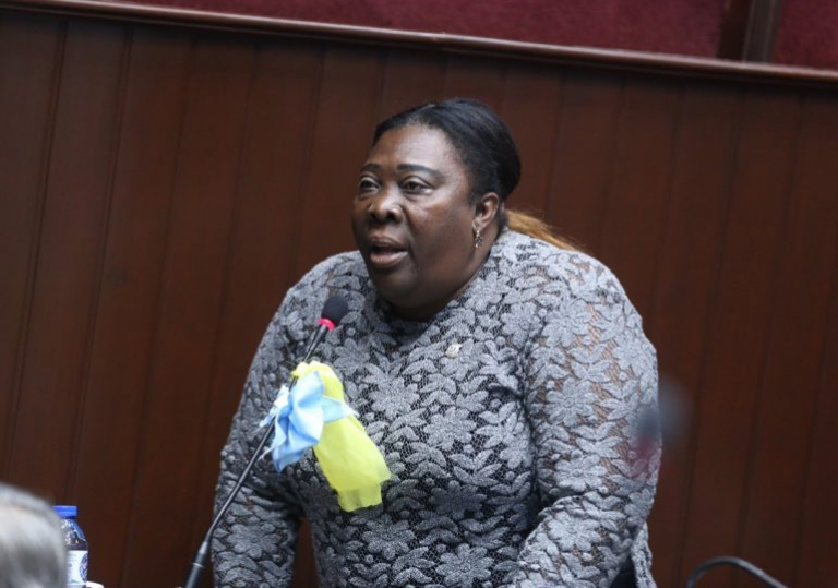 Diputada Dulce Rojas anuncia aspiraciones a la Alcaldía de Santo Domingo Norte para 2028