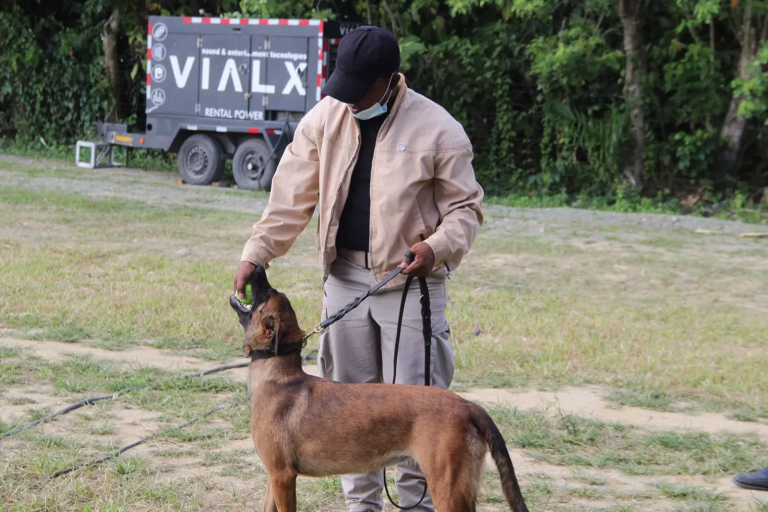 Crean unidad canina para la búsqueda de personas desaparecidas y recuperación de cadáveres