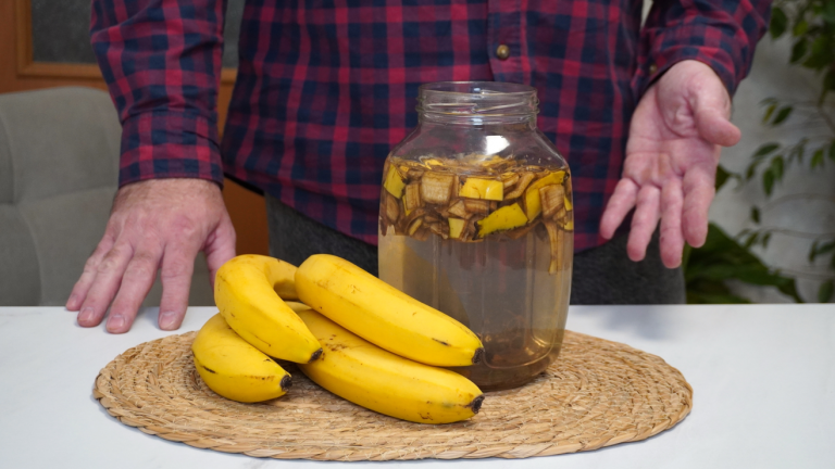 Cáscara de banana con vinagre: por qué puede ser el mejor alimento para tus plantas y cómo prepararlo