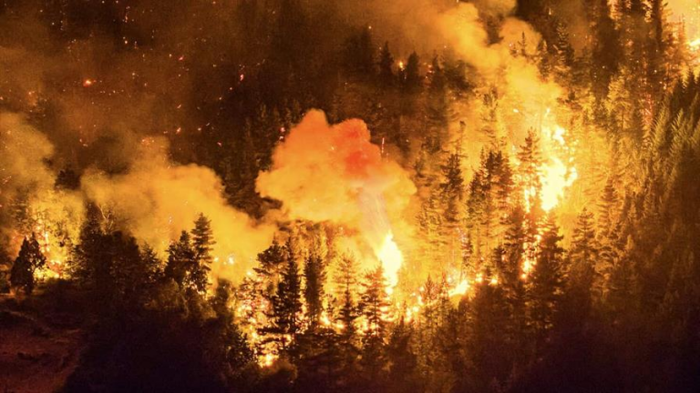 Más de 500 brigadistas trabajan en extinguir el fuego en la Patagonia Argentina
