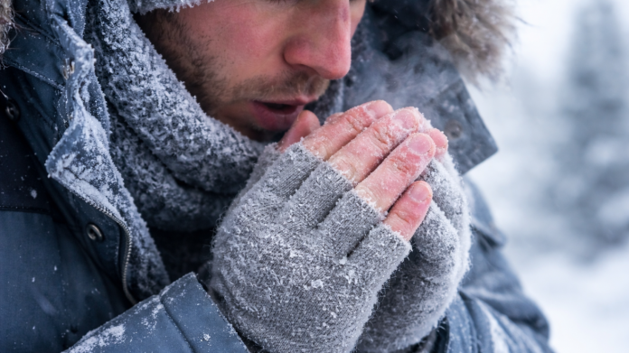 descarga - 2026-01-27T091117.799