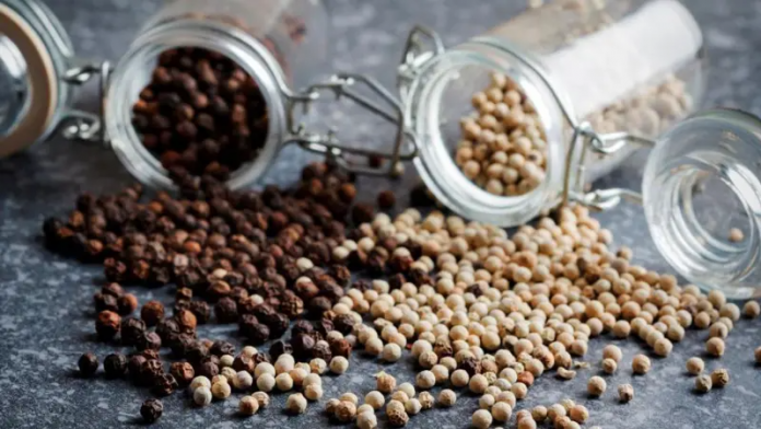 descarga - 2026-01-29T164515.197