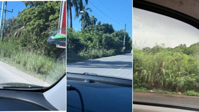 Denise Spearing exhorta a intervenir laterales de la vía Sosúa–Cabarete por seguridad y mejora turística