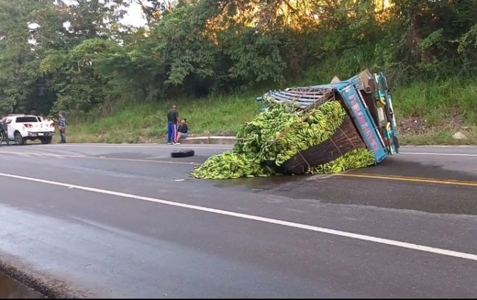 WhatsApp Image 2026-02-01 at 10.08.28 AM