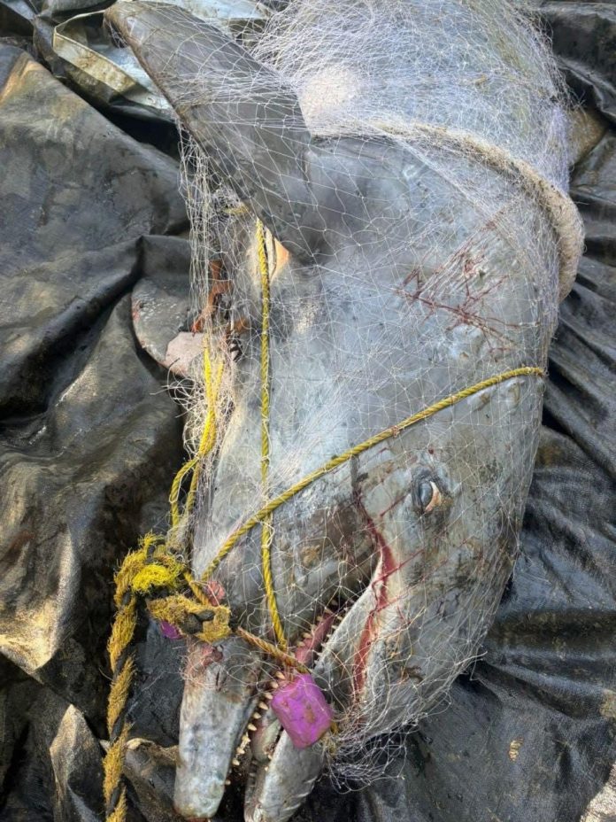 WhatsApp Image 2026-02-02 at 09.53.20