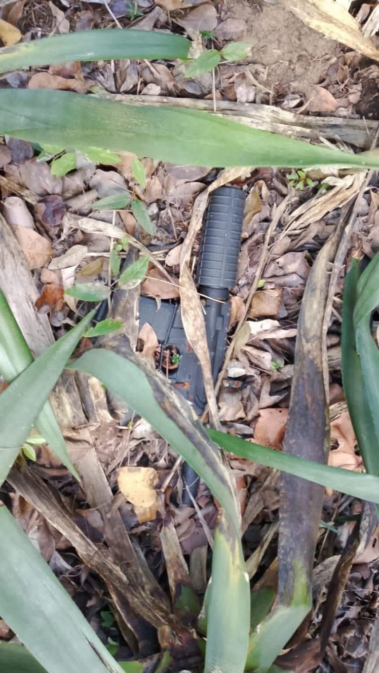 Hallan fusil oculto entre matorrales en playa de Rocón y activan investigación