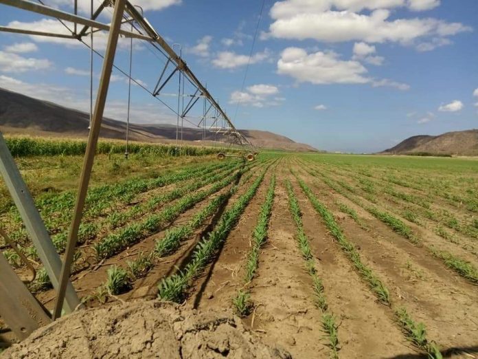 WhatsApp Image 2026-02-23 at 18.10.43