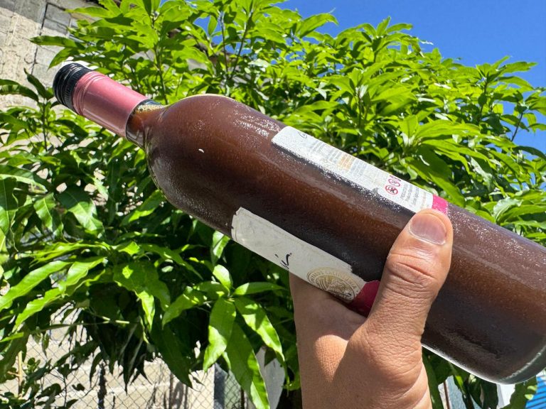 Naturalista de Veragua afirma tratar infecciones, próstata y quistes con remedios a base de plantas