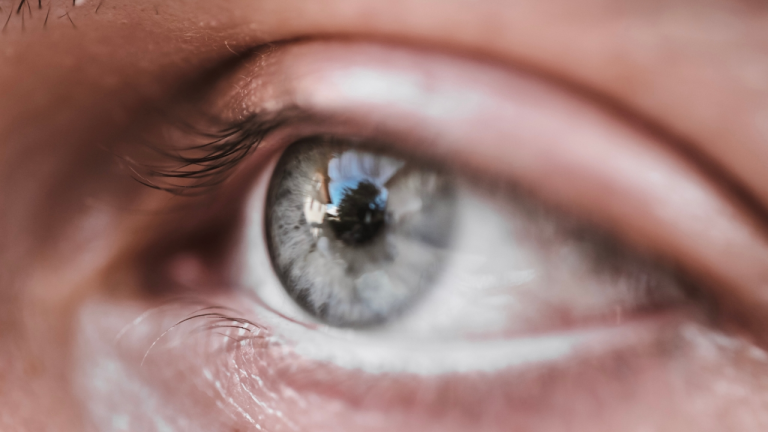 Recuperan la visión parcial en una persona ciega con microestimulación cerebral