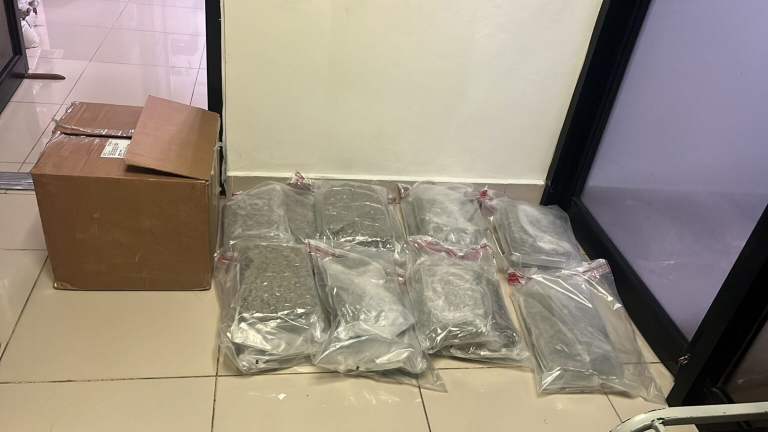 DNCD confisca 15 paquetes de marihuana en el AILA