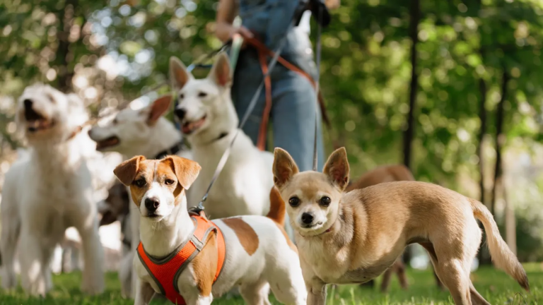 10 trabajos extra que pueden aumentar tus ingresos en Estados Unidos