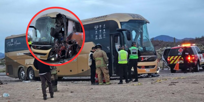 descarga - 2026-02-13T165635.767