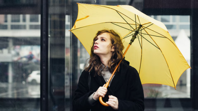 descarga - 2026-02-25T114657.950