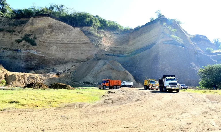 Califican de ecocidio tala de árboles en el Santo Cerro La Vega