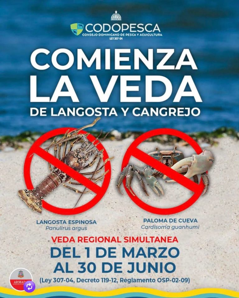 Inicia veda nacional de langostas y cangrejos para proteger reproducción de especies