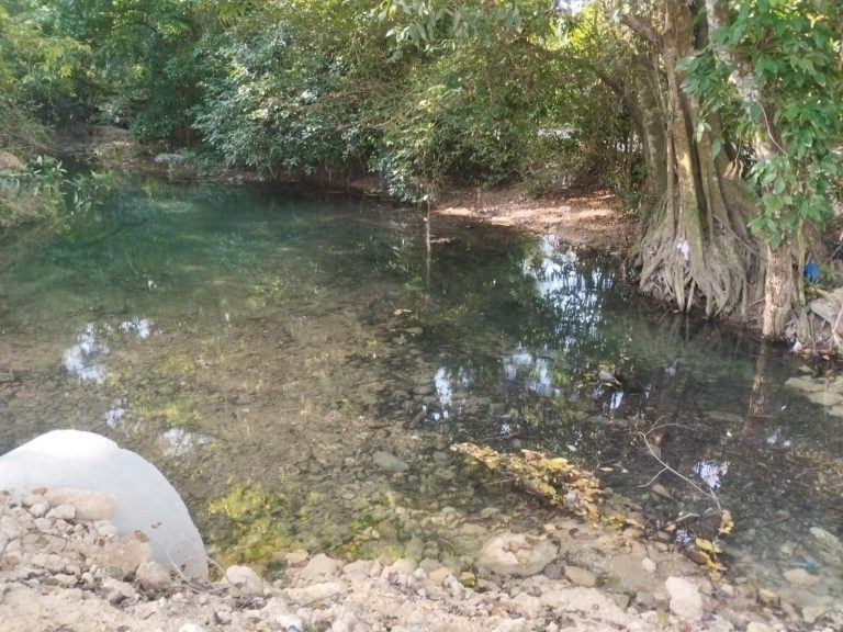 Río Sosúa pierde caudal y genera alarma en comunidades y sectores productivos