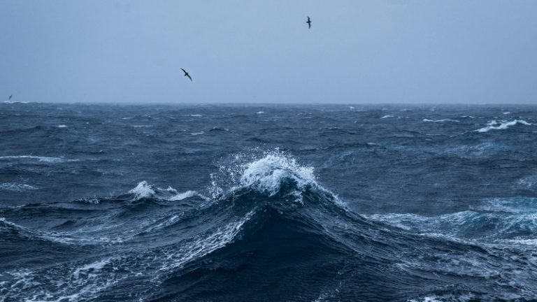 Seis pescadores son rescatados con vida tras hundirse embarcación cerca de la isla Tortuga