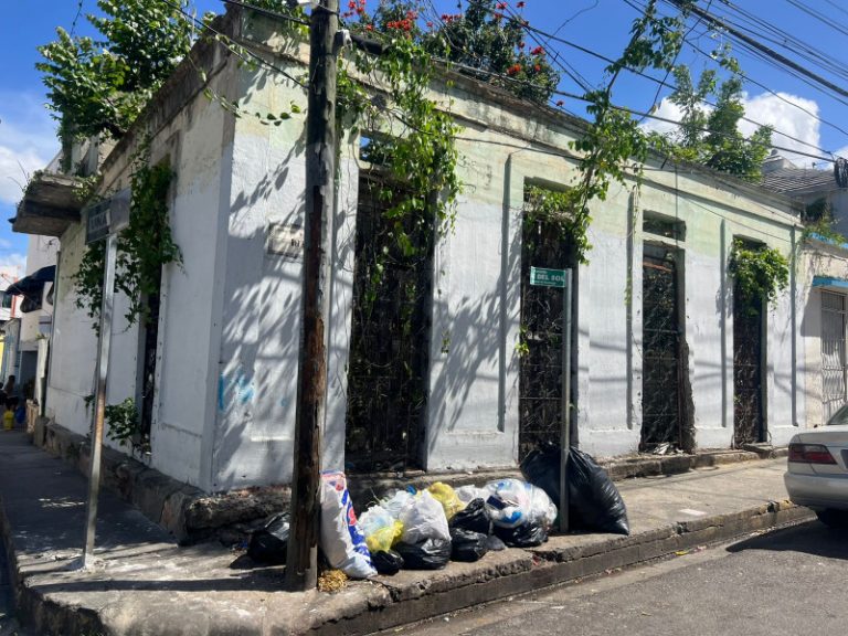 Abandonan y arrabalizan casas victorianas en Santiago