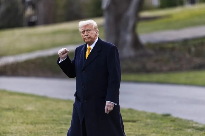 descarga - 2026-03-16T052224.398