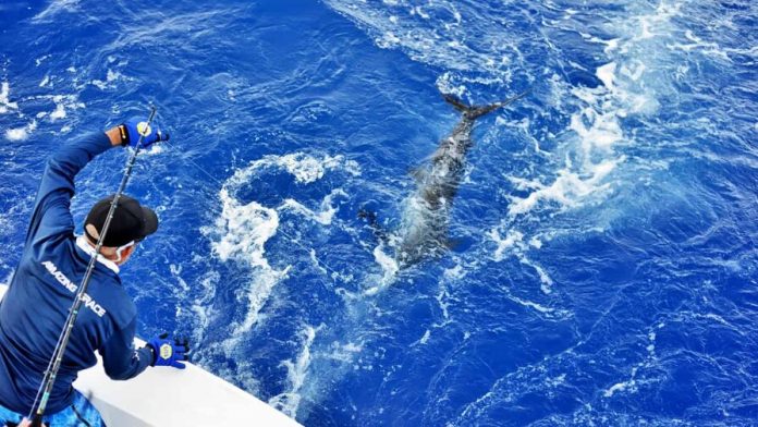 pesca-deportiva-en-rd