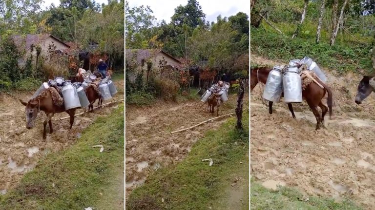 Caminos vecinales intransitables afectan comunidades de Altamira