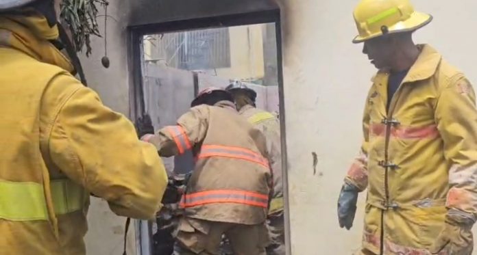 WhatsApp Image 2026-04-03 at 18.33.12 (1)