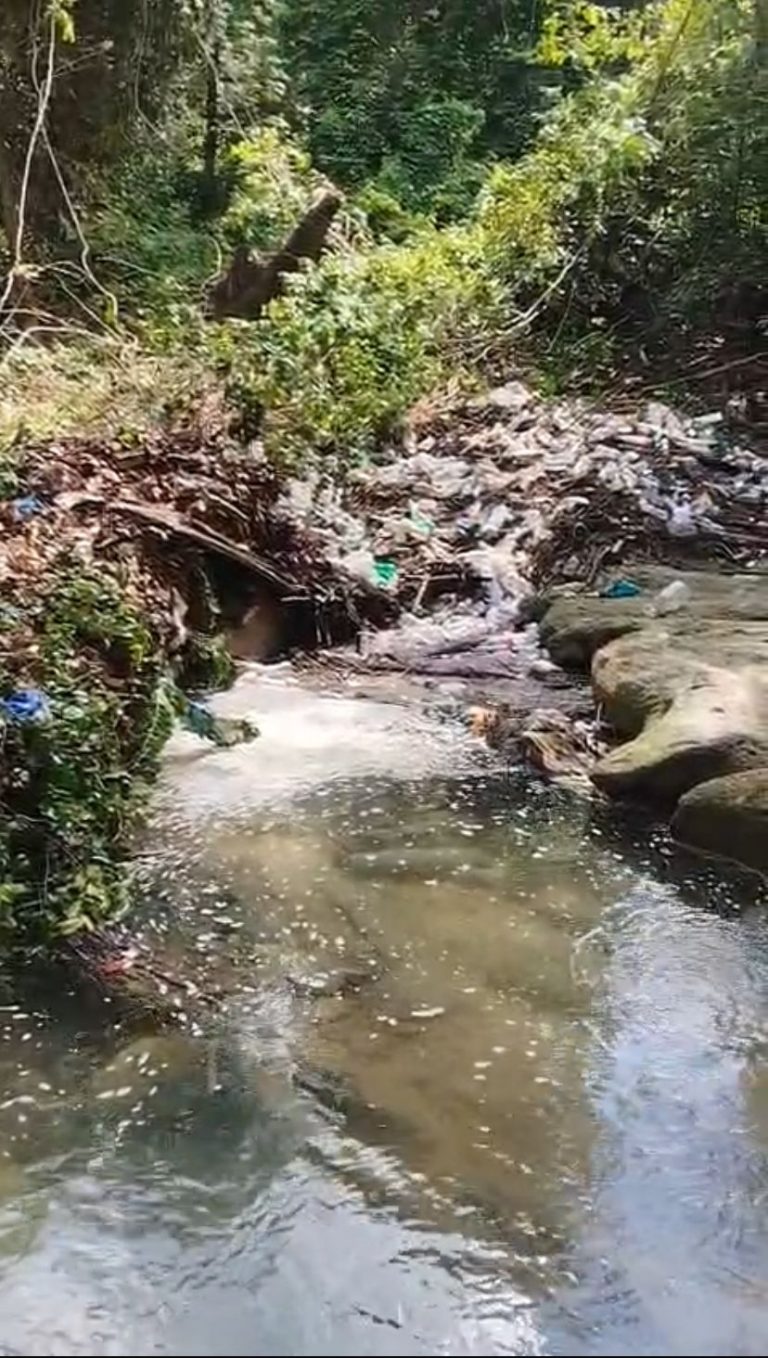 Jonathan Saint Eustache denuncia riesgo de inundación en Bella Vista por árbol caído en balneario El Penco