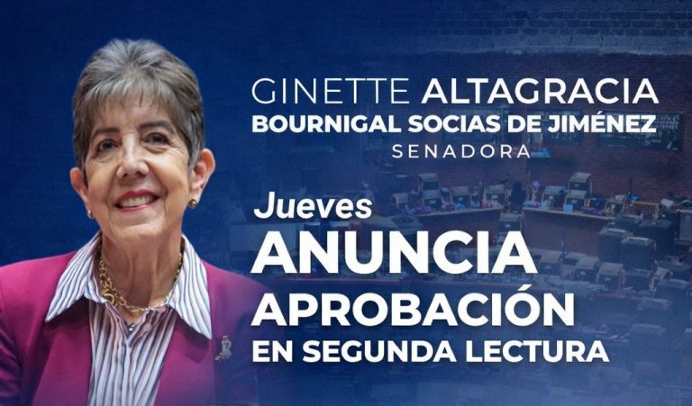 Senado aprueba ley que elimina impuestos a cámaras de seguridad y reforma autoridad portuaria