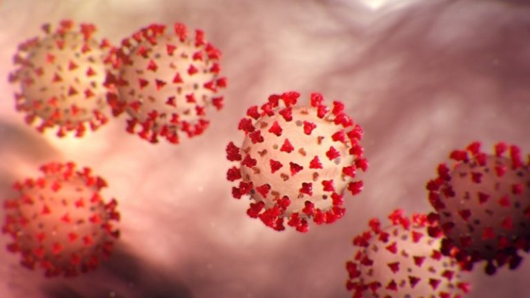 Aconsejan precaución y vigilancia ante nueva variante del Covid-19