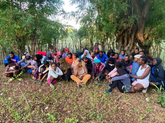 descarga - 2026-04-04T161333.134