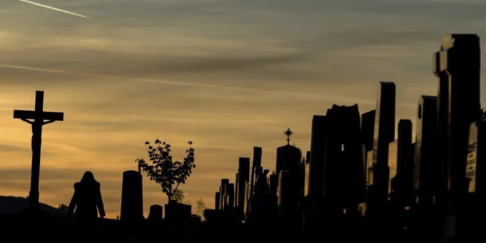 descarga - 2026-04-09T123425.712