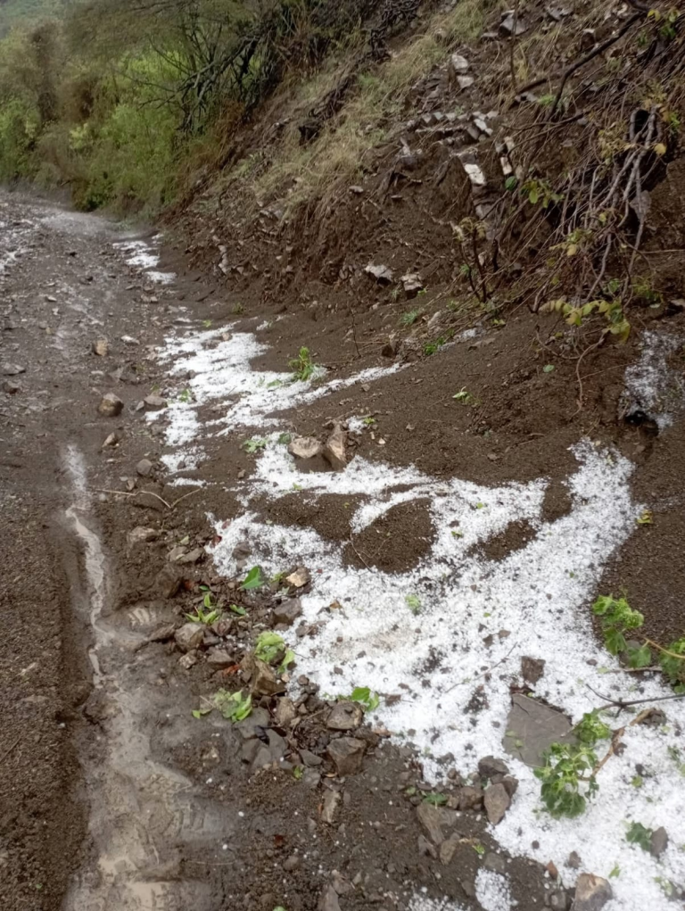 Inusual granizada impacta zona montañosa de Peralta, Azua