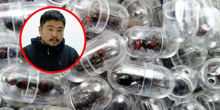 Kenia condena a ciudadano chino a un año de prisión por contrabando de unas 2.200 hormigas