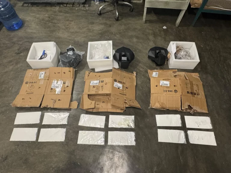 DNCD ocupa en el AILA 12 láminas de presunta cocaína ocultas en cajas de cartón