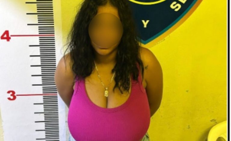 La Policía Nacional arresta a mujer en La Vega por delitos de alta tecnología