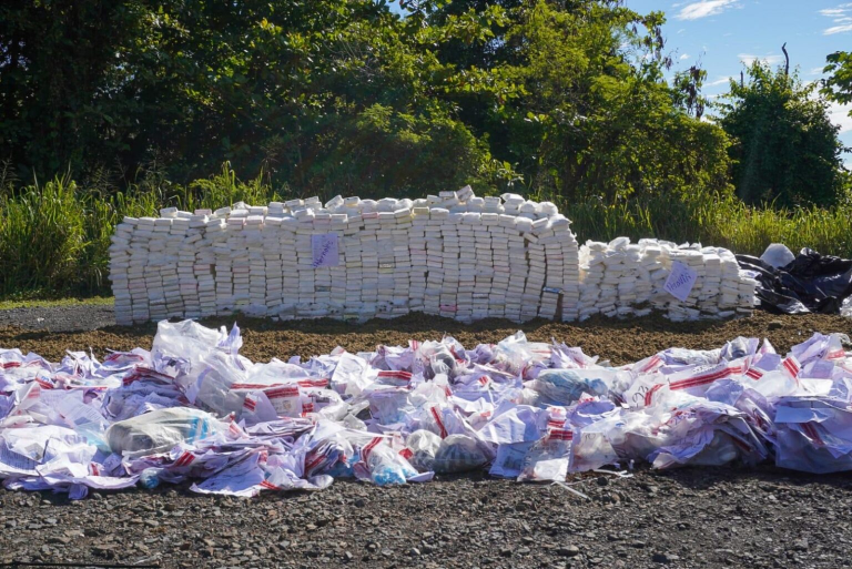 Inacif quema más de 13 toneladas de drogas en primer cuatrimestre del año
